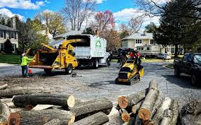 Best Commercial Tree Services  in Brady, TX